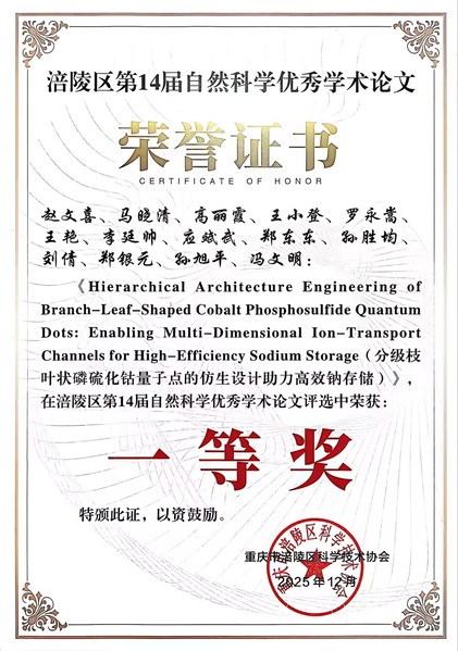 我院赵文喜老师斩获涪陵区第十四...